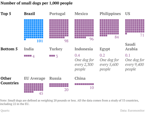 Brazil-small-dogs1 Brazil-small-dogs1