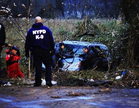 Enhanced-buzz-2754-1351881439-3