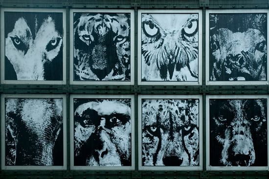 Victor_ash_platoon_seoul_2012_2