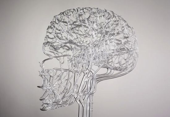 Garyfarlowglassanatomy2