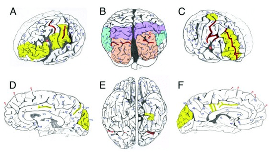 Screen shot 2012-11-27 at 2.06.09 PM Screen shot 2012-11-27 at 2.06.09 PM