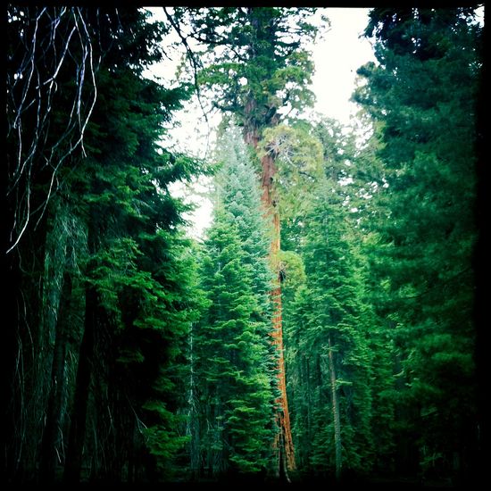 6345361946_0502149256_b 6345361946_0502149256_b