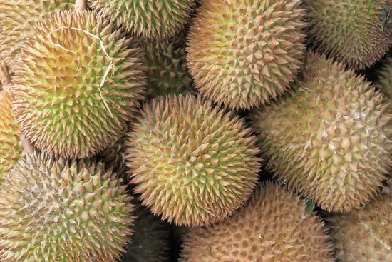 4395000184_bbc5d1ff2b_b