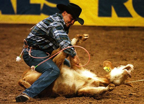 Calf_Rodeo_Hogtied