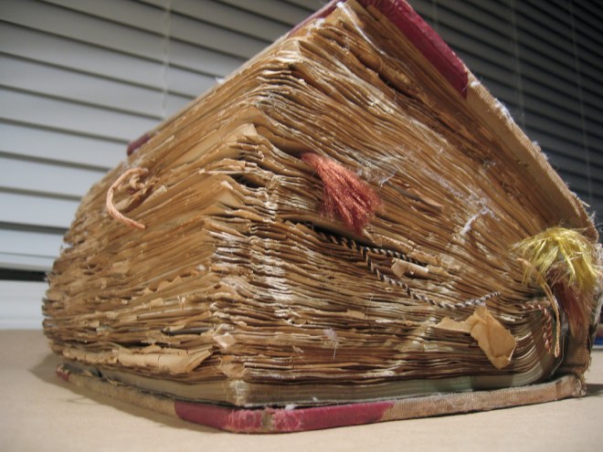 412783683_d70830538b_b