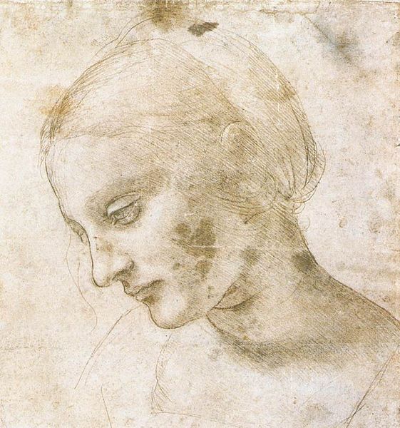 561px-Leonardo_da_Vinci_-_study_of_a_woman's_head