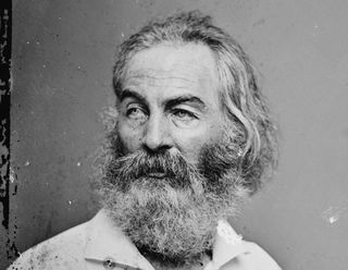 6a00d83451c45669e2017c36596ac1970b-320wi