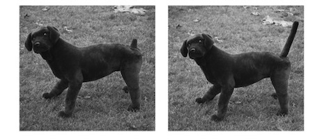 6a00d83451c45669e2017d4072c2f4970c-550wi