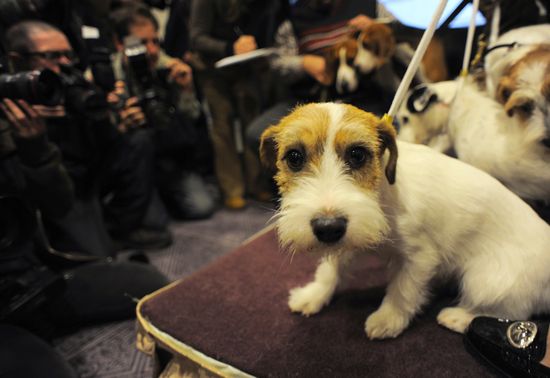 6a00d83451c45669e2017ee7ff0e30970d-550wi