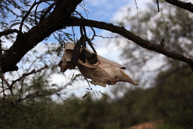 Aid Group Brings Water And Relief Supplies Immigrants Crossing Border