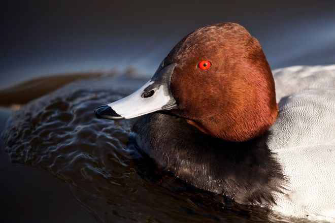 Londoners Enjoy Spring Sunshine