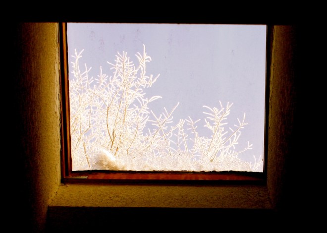 Cedar Bluff-Iowa-1045am