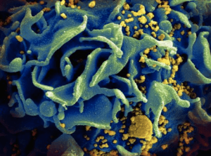 Screen shot 2013-03-05 at 11.27.21 AM