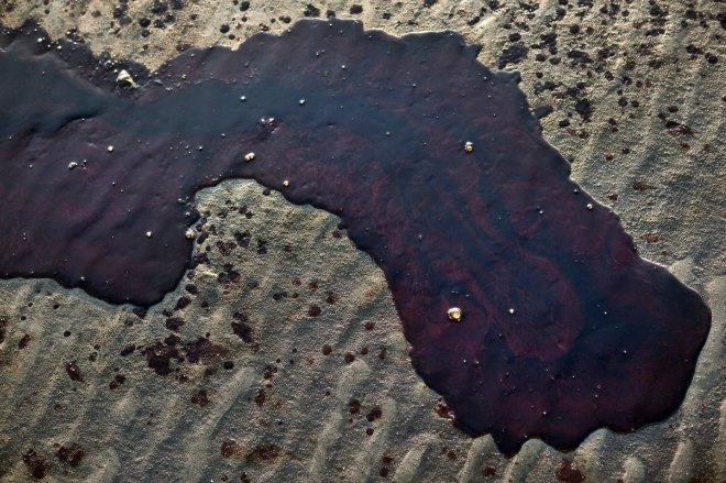 British Petroleum's Oil Spill