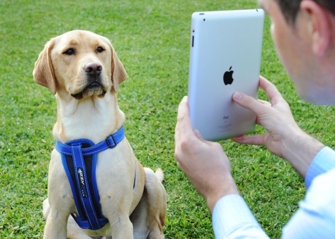 Hanrob Pet Hotels Launch 'Petskype'
