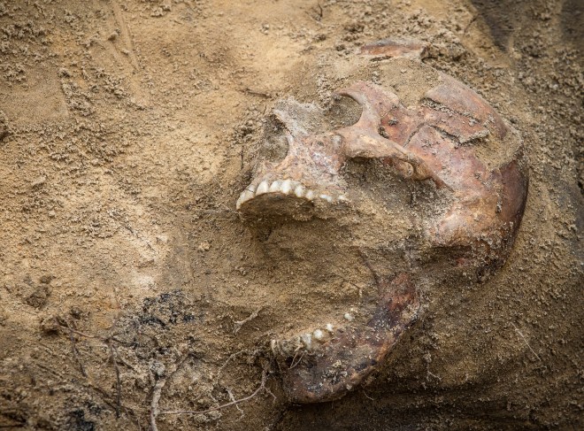 POLAND-HISTORY-JUSTICE-COMMUNISM