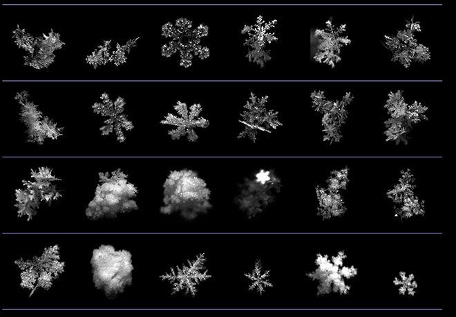 dish_utah-snowflakes