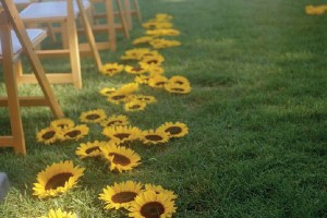 sully-wedding-aisle-thumb