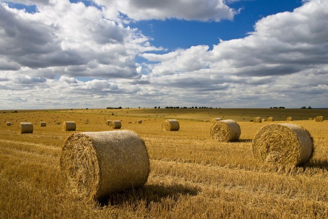 Straw bales, Cotswolds, Oxfordshire, UK