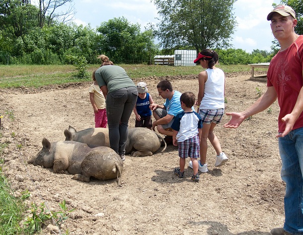 4739658071_b64ee458e8_z