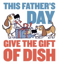 dish-gift-sidebar-FD