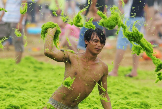 Seaweed Swamps Qingdao Coastline