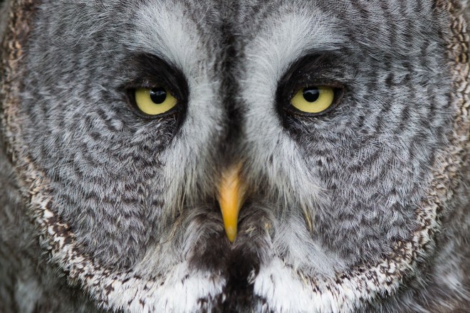 FRANCE-ANIMALS-ENVIRONMENT-FEATURE