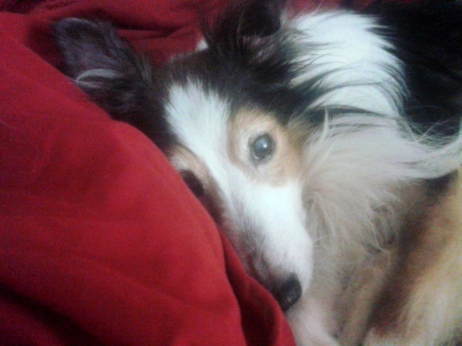 2013-05-199514_33_15__PerfectlyClear_0002