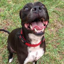 5663fc34-2dfb-4287-9f83-f3af4dcf2da3-1