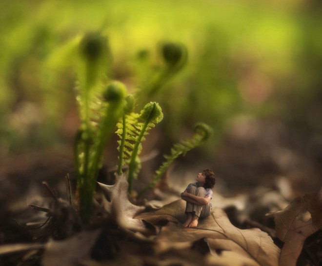 photomanipulations-self-portraits-zev-fiddle-oak-11