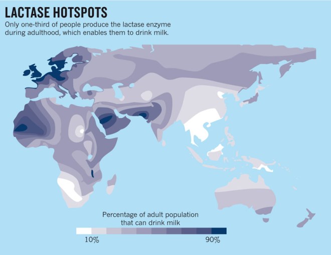 lactase-hotspots2