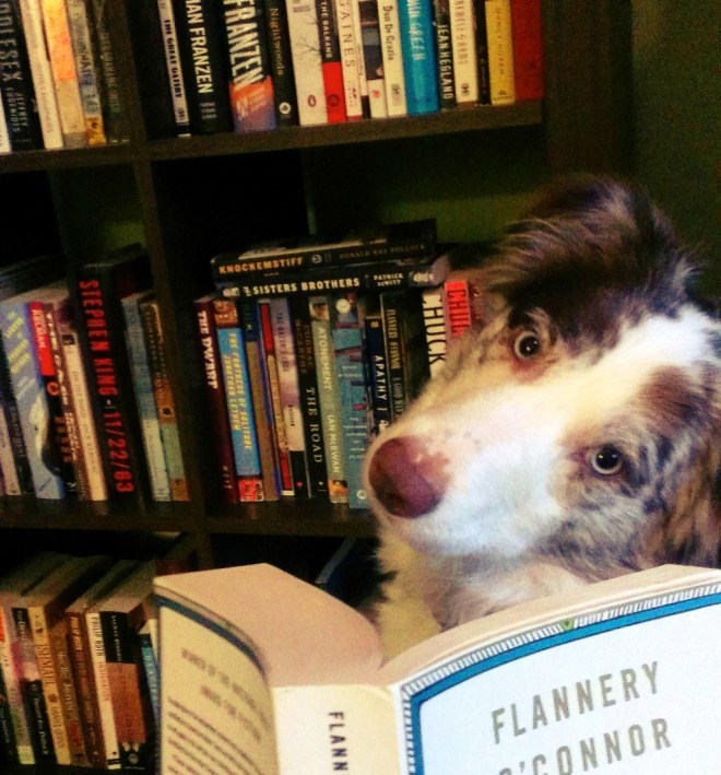 tumblr_mrq91qwM8z1sfm4w7o1_1280