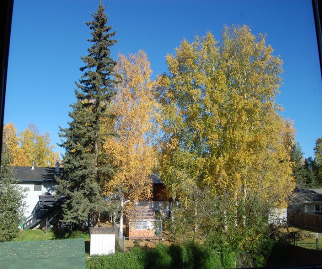 Fairbanks-Alaska-231pm