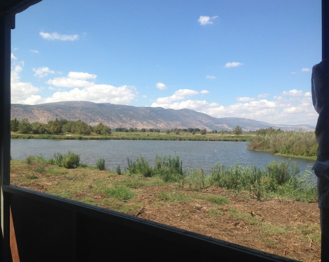 Hula Nature Reserve-Northern Galilee-210pm