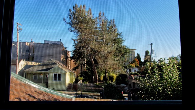 ???????????????????????????????