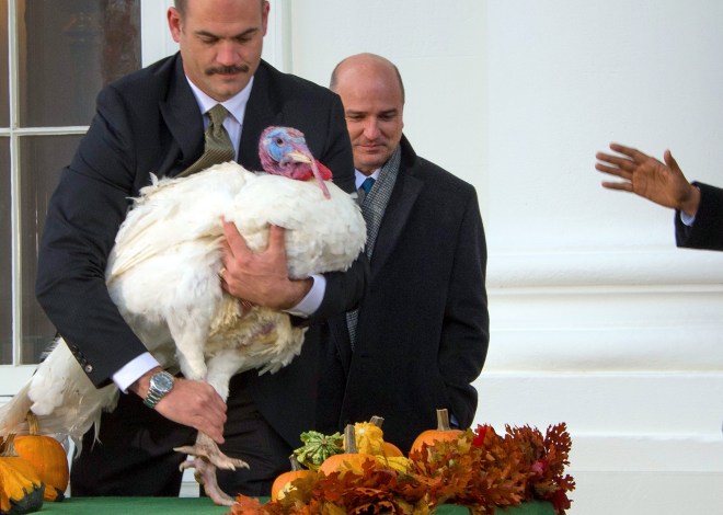 US-POLITICS-OBAMA-TURKEY PARDON-POPCORN