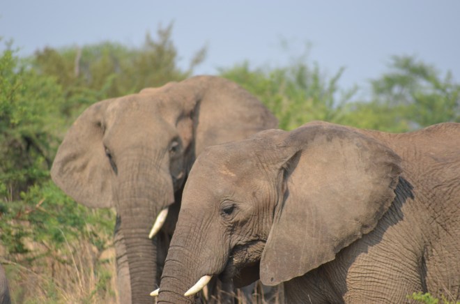 6595665163_f514509d17_b