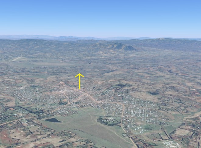 VFYW Hosaena Bird's Eye Marked - Copy