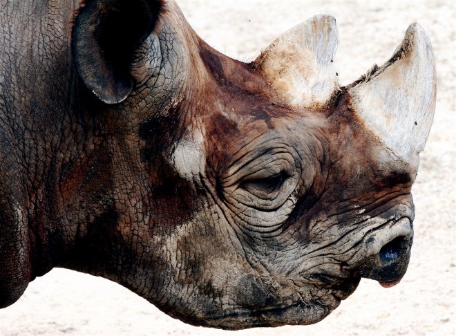 256706773_4d8f868250_b