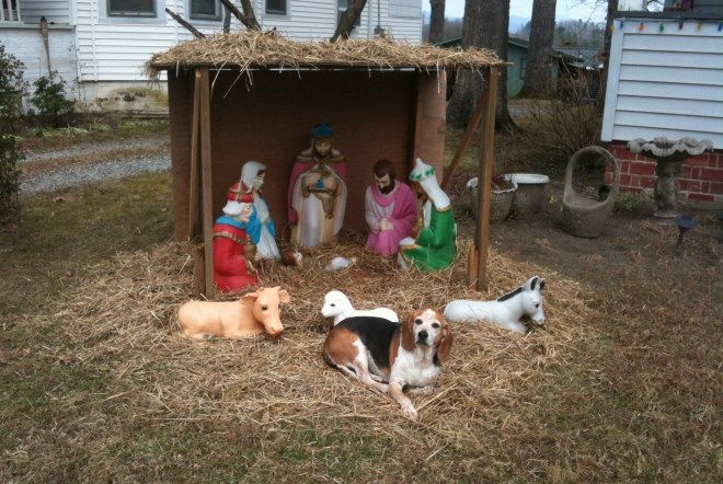 BeagleCreche