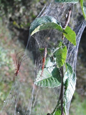 1548563407_ca04fb34d5_z