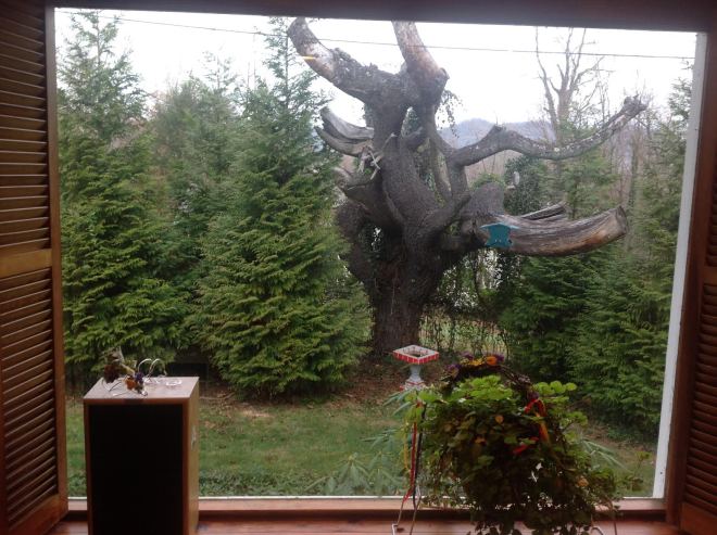 Asheville, North Carolina  7-55 am