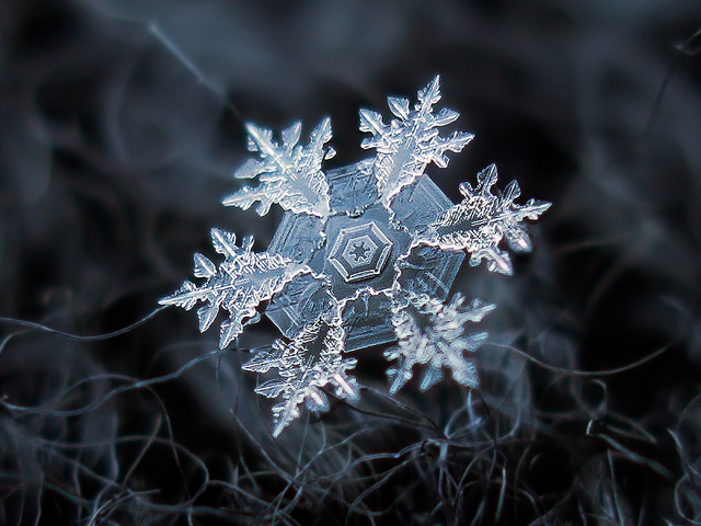 dish_snowflake