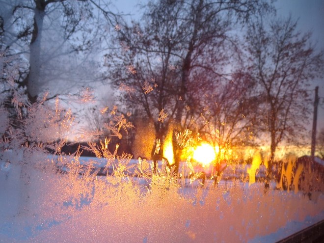 view from front window 1.5.14