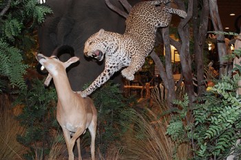 3859580558_6c924b2e7f