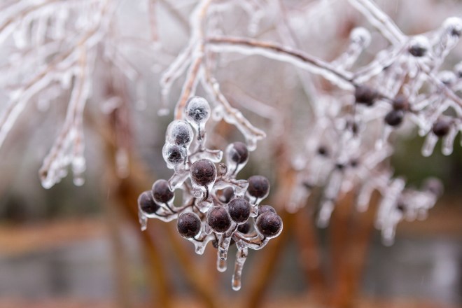 Winter Storm Affects Large Swath Of Southern States