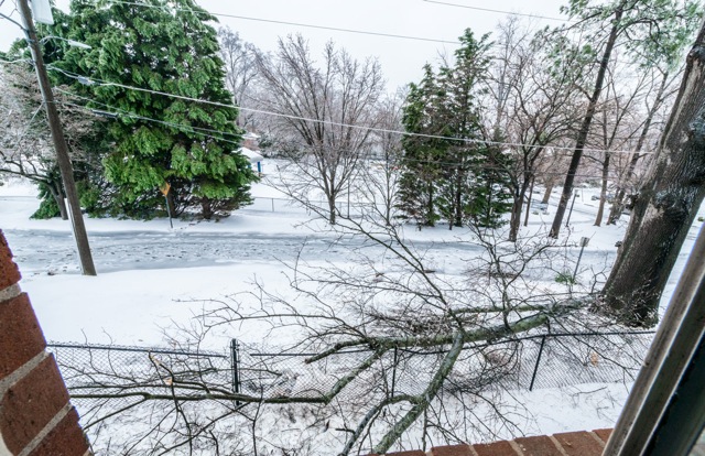 Raleigh, North Carolina, 10-20 am