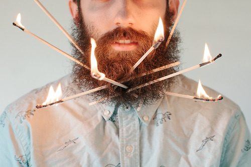 Red Poppy Photos by Stacy Thiot