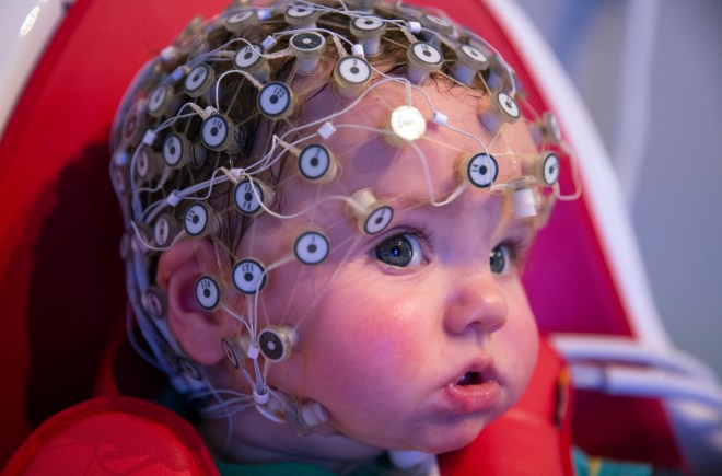 Research At The Birkbeck Babylab Into Brain And Cognitive Development