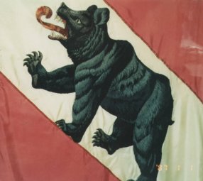 bearFlag